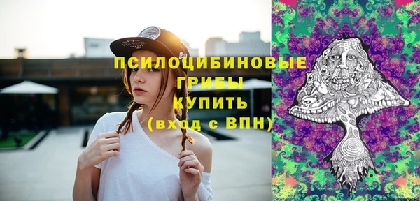 шишки Алексеевка